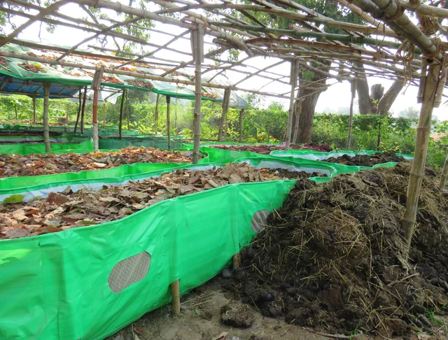 Vermi compost