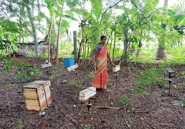 manjula