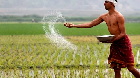 உரத்தட்டுப்பாடு