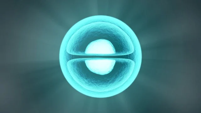 அணுக்கள்