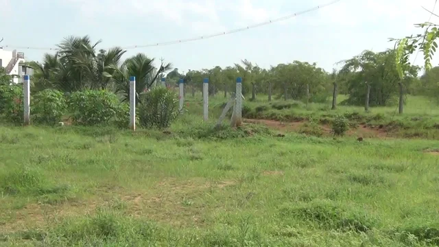 உடல் வீசப்பட்ட பகுதி