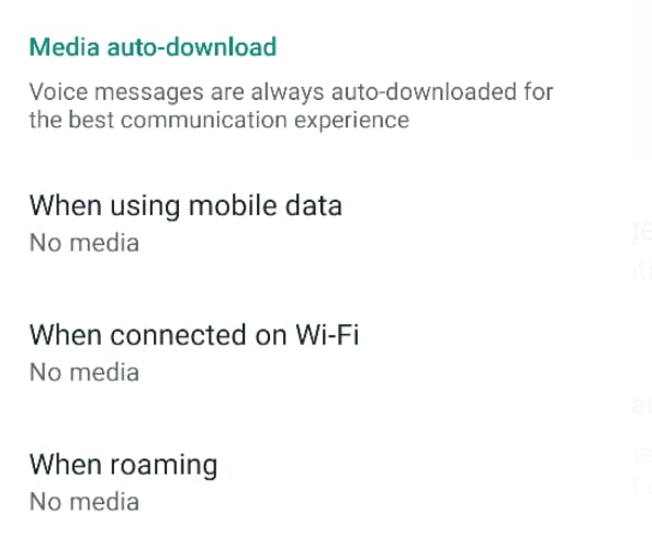 Media Auto-download: No Media