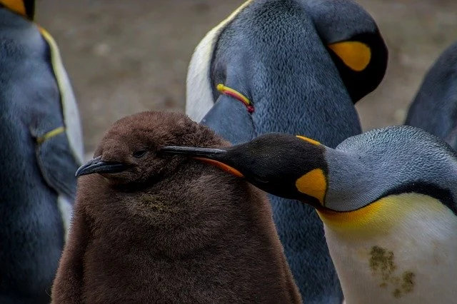 Motherhood
