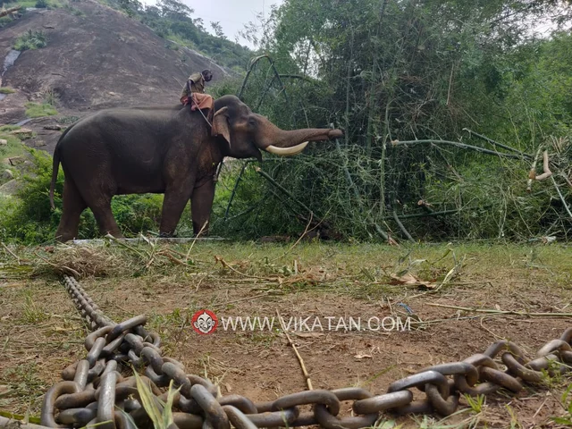 அரிசிராஜா ஆபரேஷன்