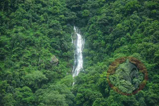 water falls