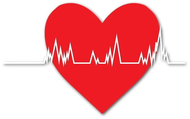 Heart