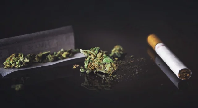 Cannabis
