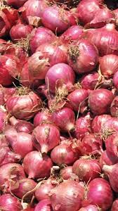 Onion