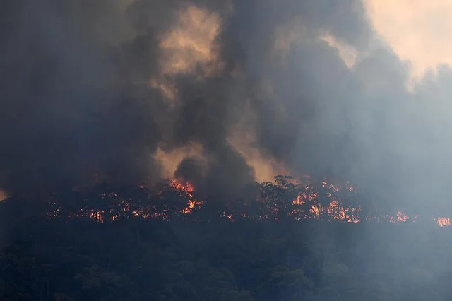 AUSTRALIA FIRE