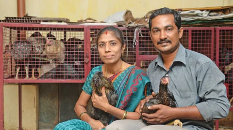 கோழிகளுடன் நித்தியானந்தம்-விஜயபிரியா