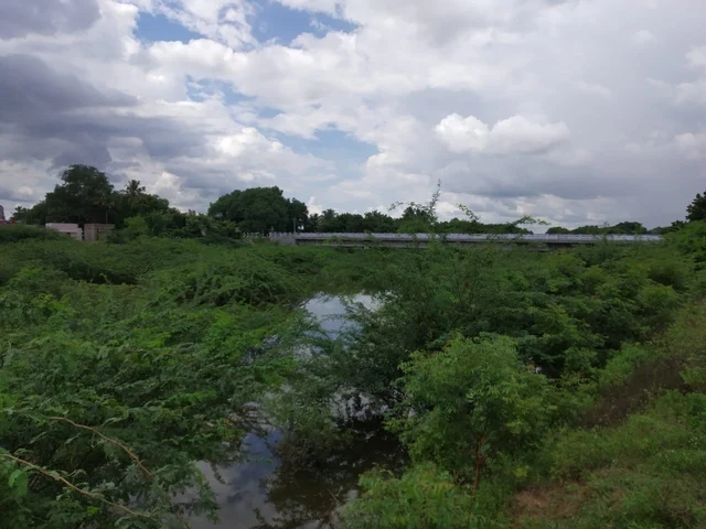 முட்புதர்