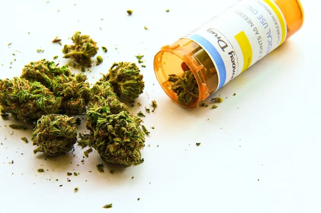 Cannabis