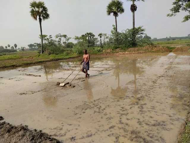 விவசாயி சிங்காரம்