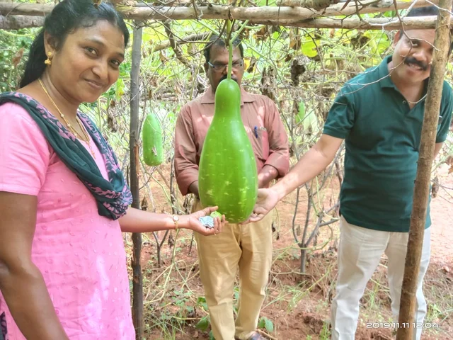 சுரைகளை ஆர்வமுடன் பார்க்கும் இயற்கை ஆர்வலர்கள்