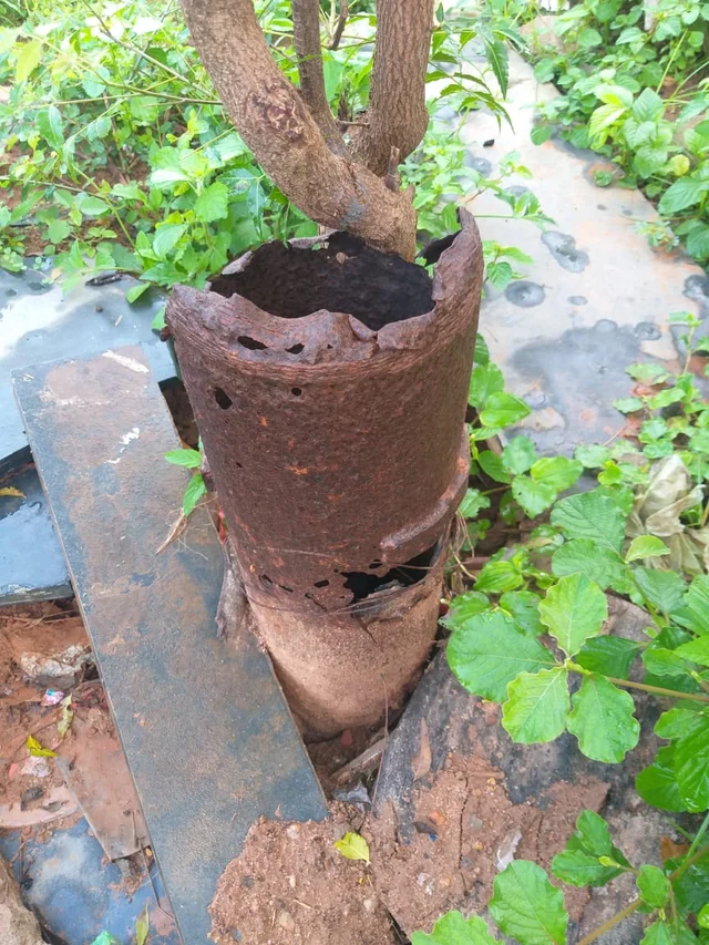 மூடப்படாத ஆழ்குழாய்