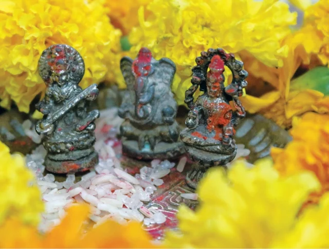 வீட்டு வாசலில் குரோட்டன்ஸ் செடியை வளர்க்கலாமா? - ஆன்மிக பதில்