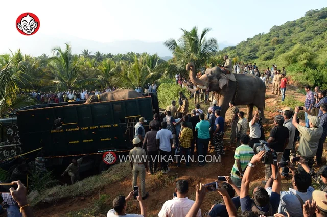 அரிசிராஜா