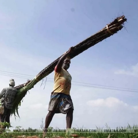 Representational Image
