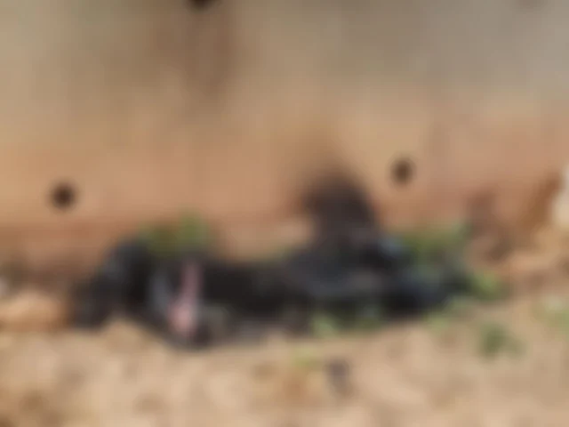 ஹைதராபாத் மருத்துவர் கொலை