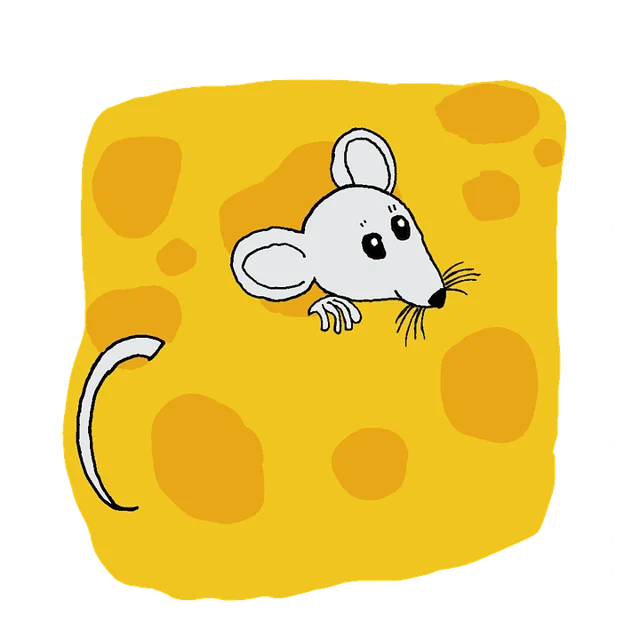 rat