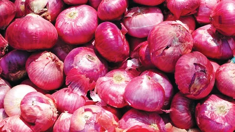 Onion