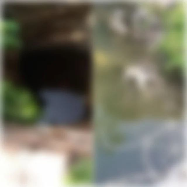 கொலை செய்யப்பட்ட ராஜபாண்டி