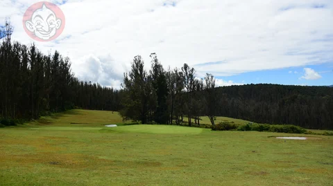 Golf club