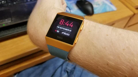 ஃபிட்பிட் | Fitbit