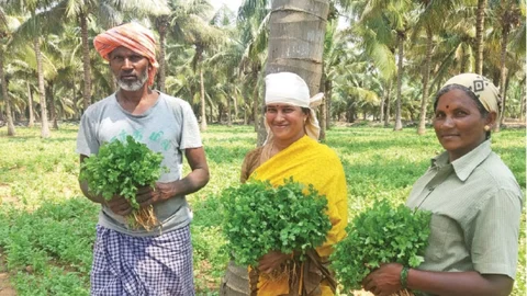 கவிதா