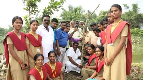 போத்து முறையில் மரம் நடவு