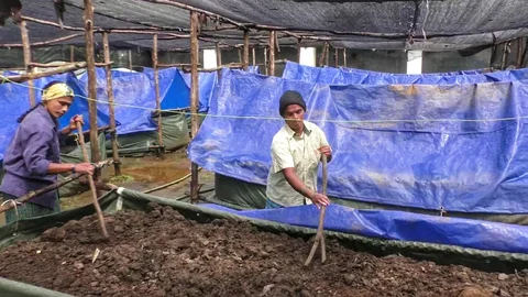 தோட்டக்கலைத் துறை