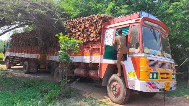 வனத்துறை காட்டில் மரம் கடத்திய லாரிகள்