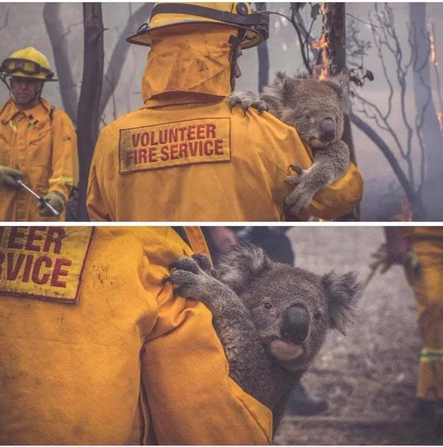 AUSTRALIA FIRE