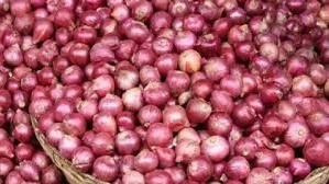 Onion