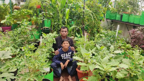 terrace garden