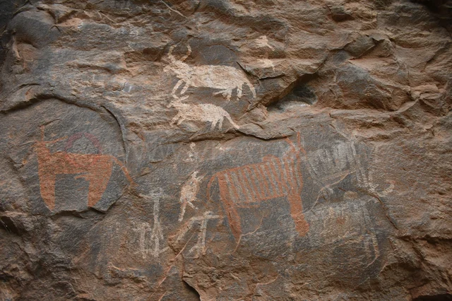 கரிக்கையூர் காடுகளில் பாறை ஓவியங்கள்