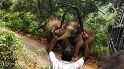அட்டகாசம் செய்யும் சில மனிதர்கள்