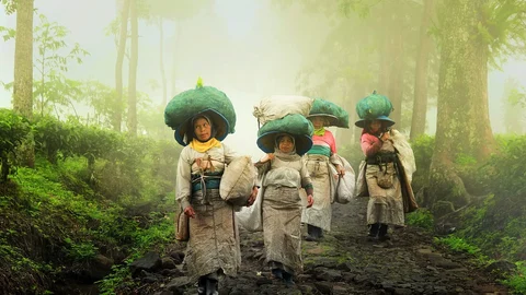 Representational Image