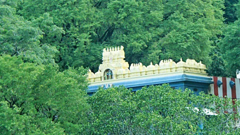 மார்கழி தரிசனம்