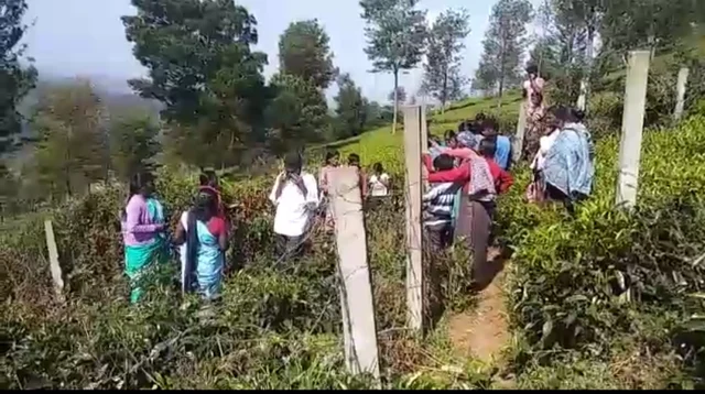 ஊர் மக்கள்