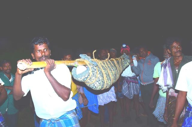 சடலத்தை டோலியில் தூக்கிச்செல்லும் அவலம்