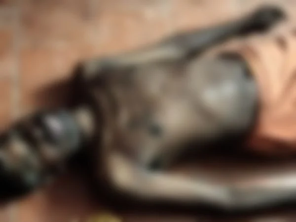 உயிரிழந்த கந்தசாமி