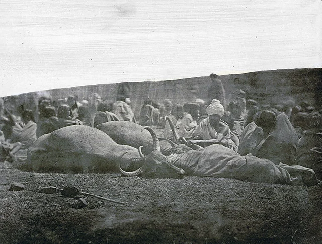 தோடர் பழங்குடிகள், 1861