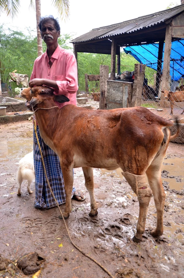 தம்பி மணி