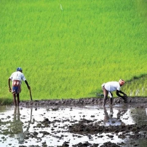 விவசாயக்கடன் தள்ளுபடி