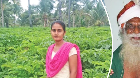 வீட்டுத்தோட்டம்