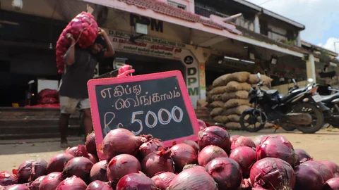 `எகிப்து’ வெங்காயம்
