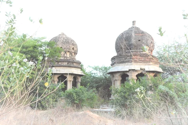 புதர் சூழ்ந்திருக்கும் அவலம்