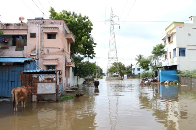 தேங்கி நிற்கும் மழைநீர்