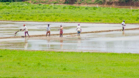 விவசாயிகள்